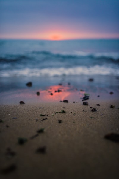 日落时海滩沙滩上的海藻